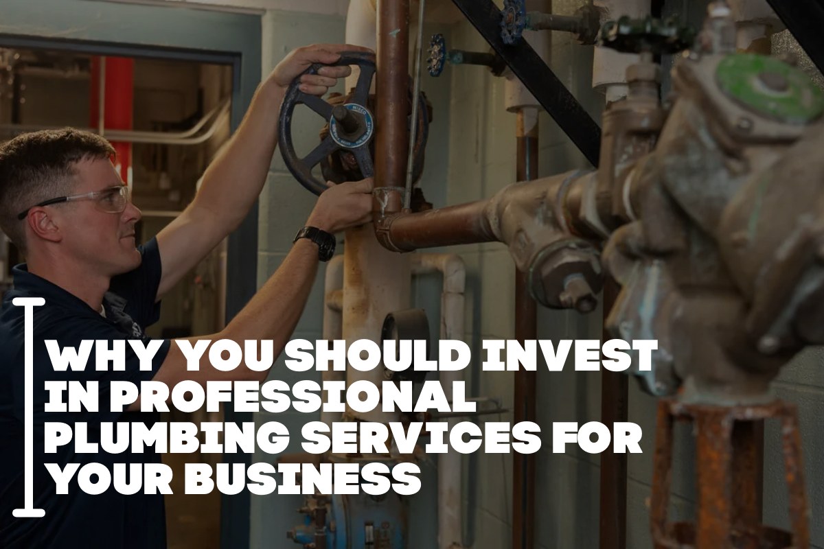 Why You Should Invest in Professional Plumbing Services for Your Business